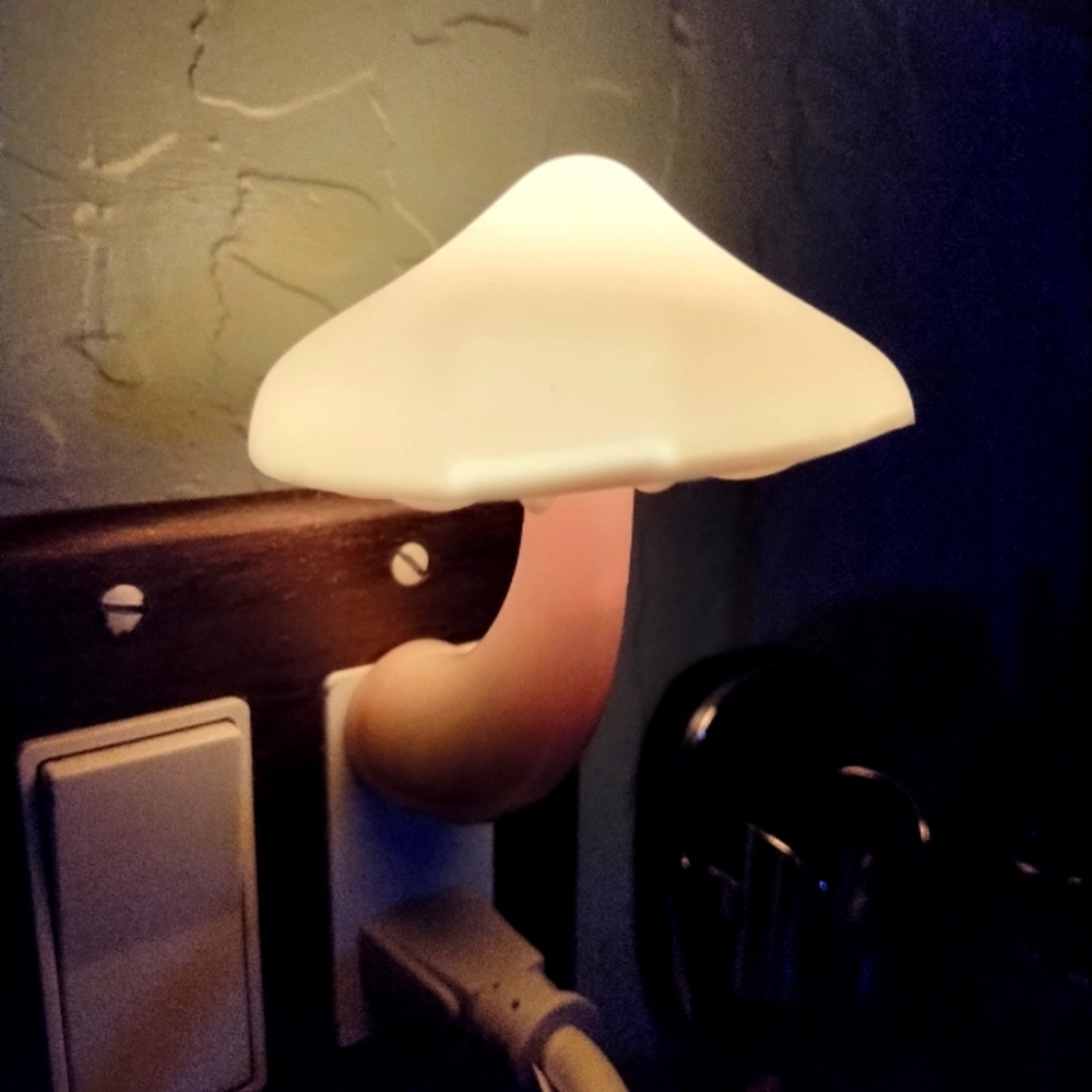 Mushroom night light!